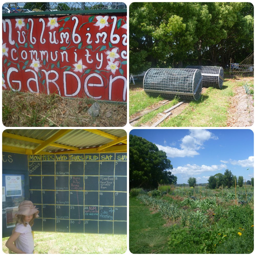 collage mullum comm garden 1