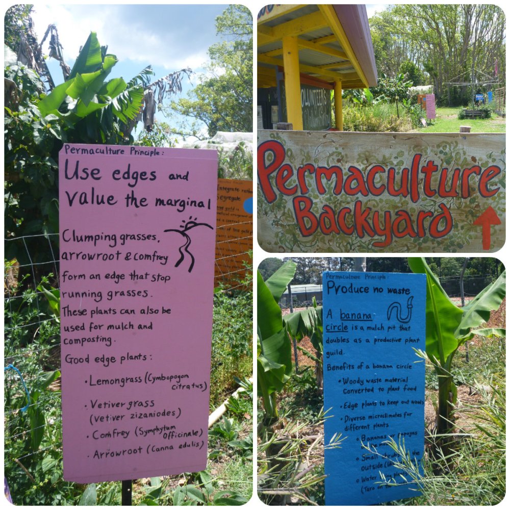 collage mullum comm garden perm 1