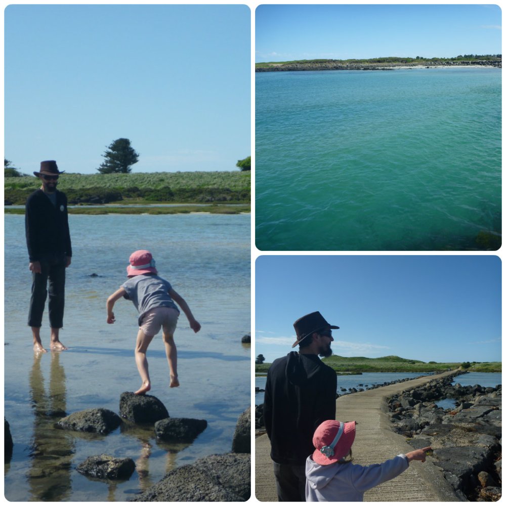 collage port fairy