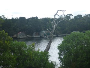 nelson glenelg river VIC