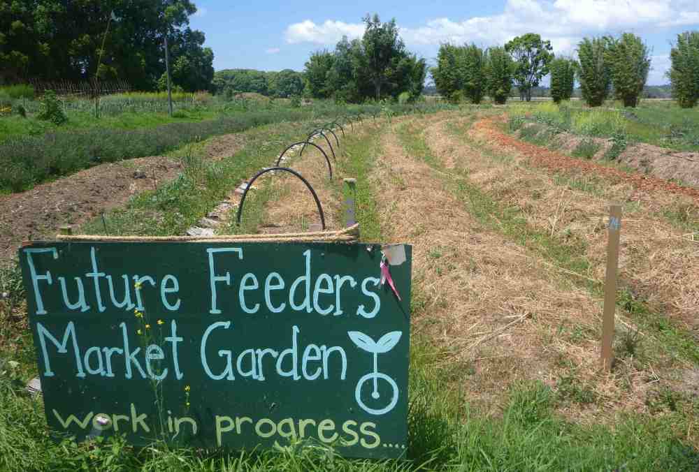 future feeders market garden