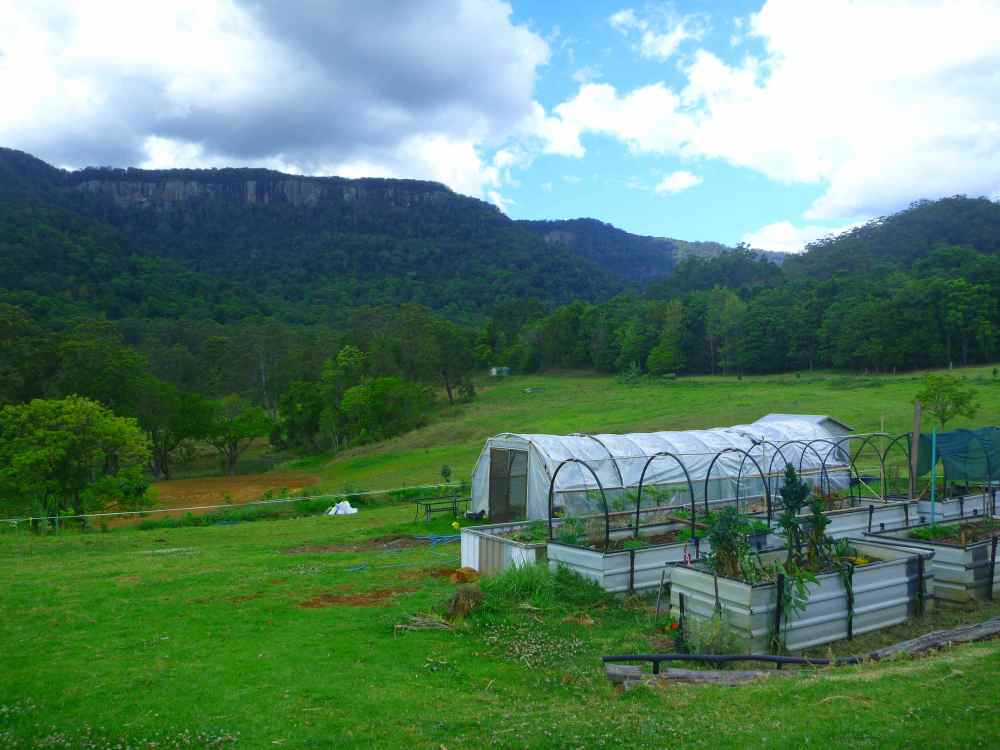 the famunity view 2 and green house