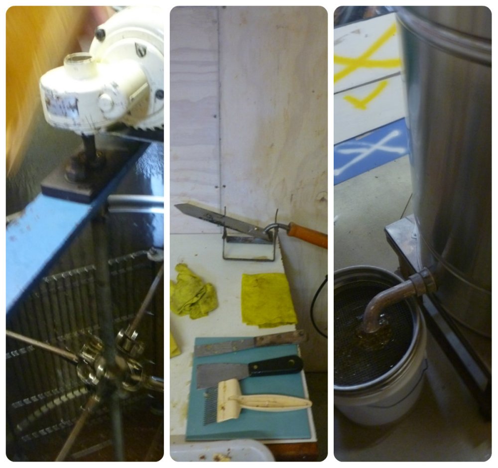 collage honey processing