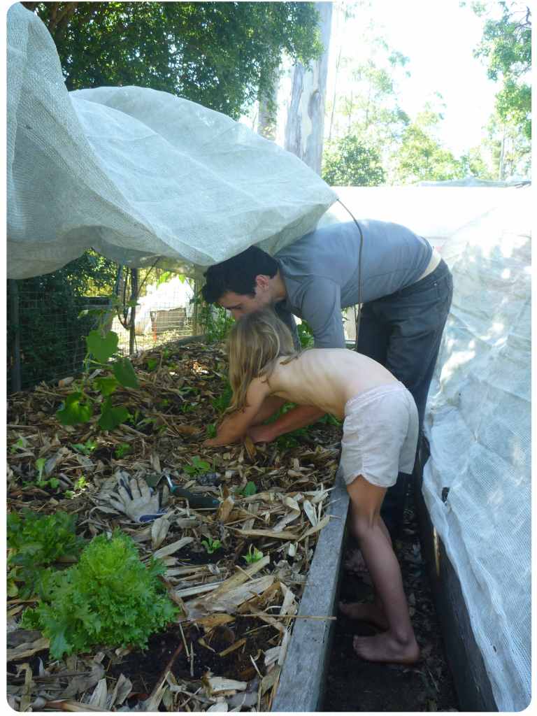 mic emma upper garden