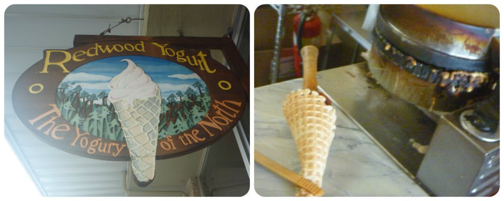 collage yoghurt at garberville