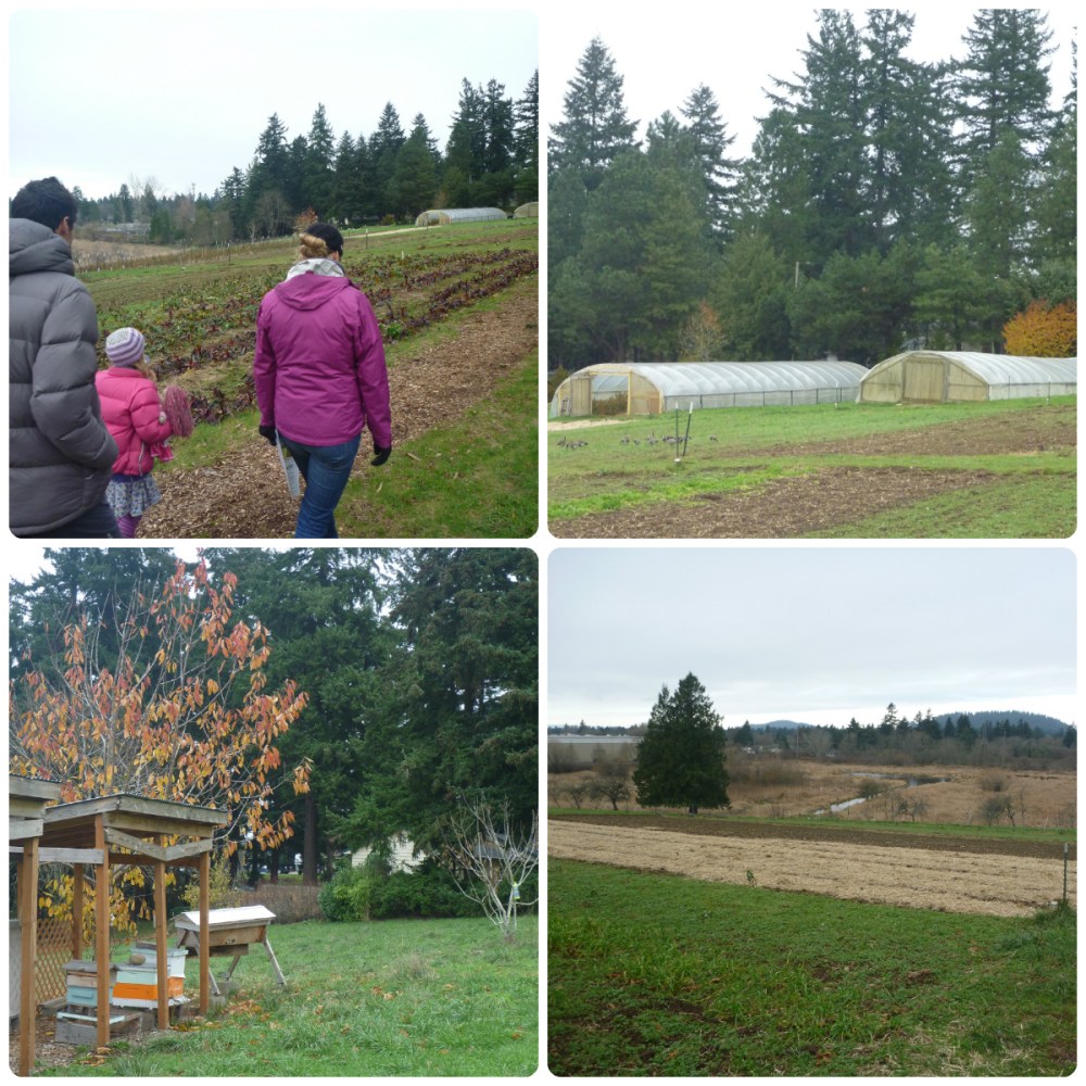 collage zenger farm 2