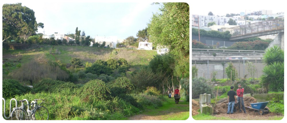 collage Alemany Farm 2 duo