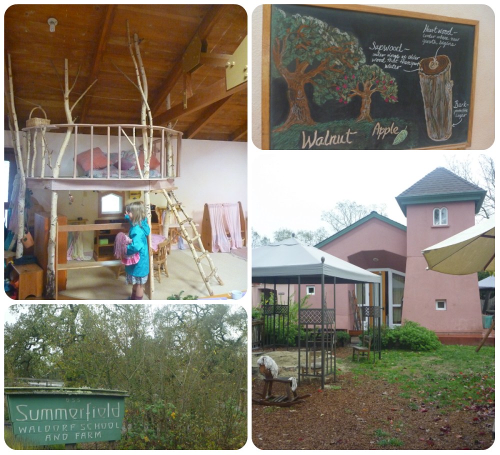 collage kindy rooms etc